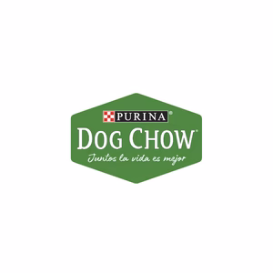 Purina Dog Chow