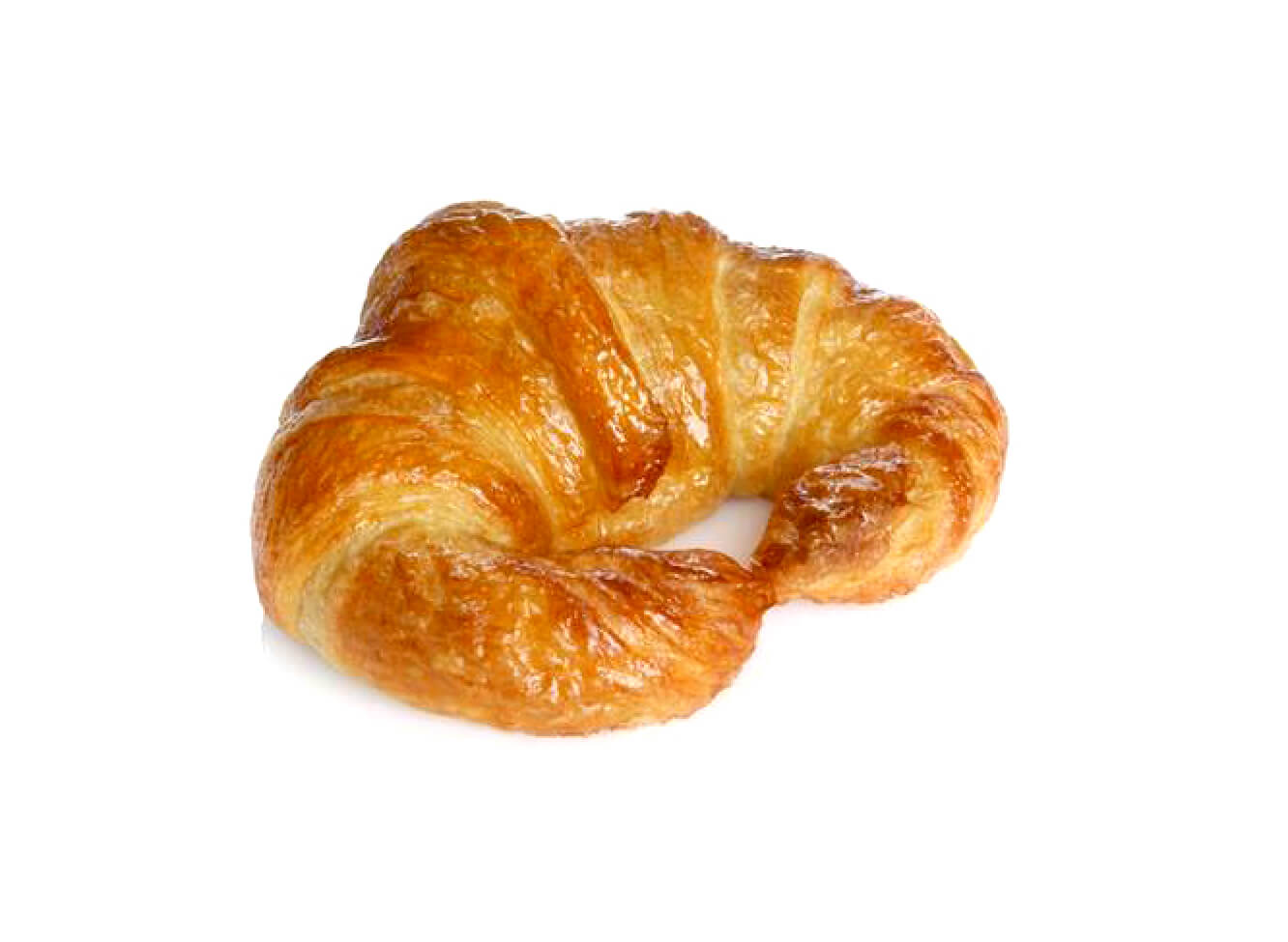 bagel salmo.png