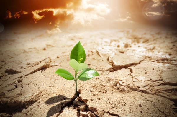Institutional investors warn against backflipping on climate commitments - Vimarsana News