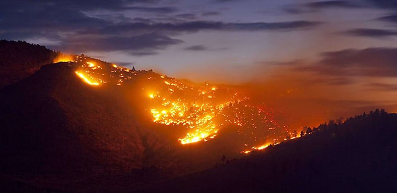 Bush fire