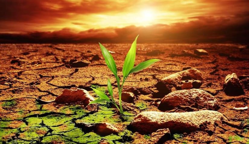 The ‘vital role’ of lawyers in tackling environmental degradation