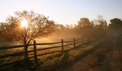 farmland sunrise lw