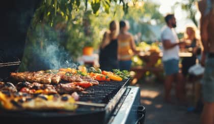 backyard bbq spi nw8m42