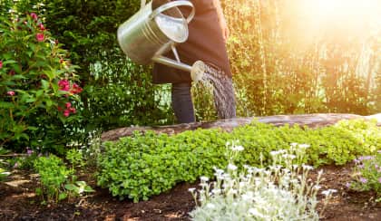 garden outdoor spi m2cogd