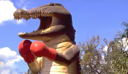 humpty doo boxing croc spi ugijzq