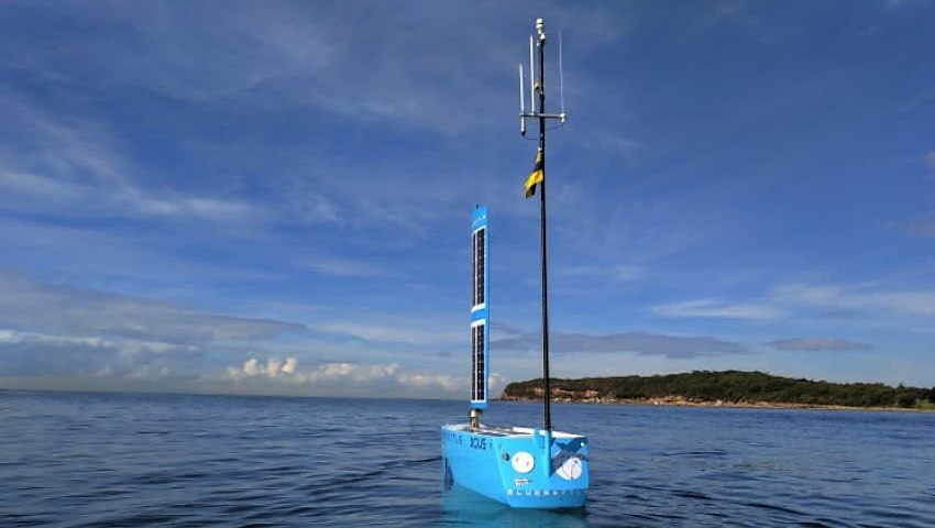 usv bluebottle