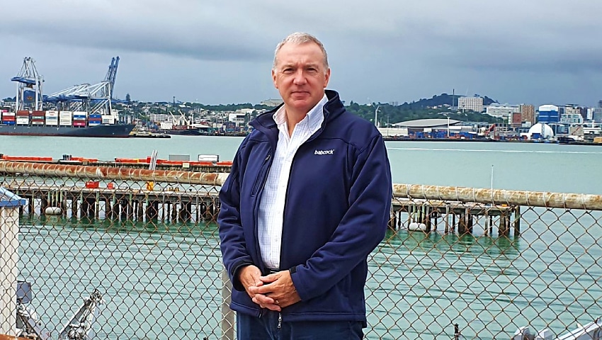 Babcock Australasia appoints program director