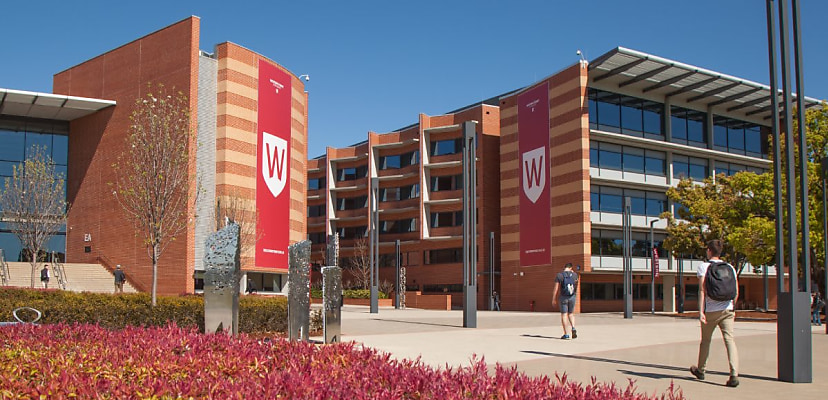 Western Sydney University warns of scam emails revoking degrees