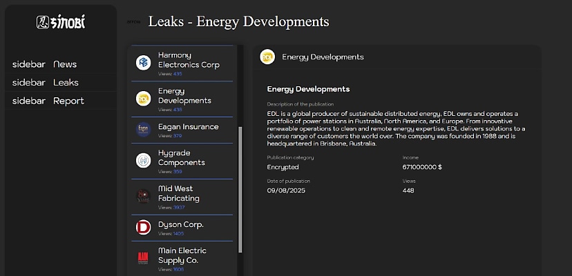 Exclusive: Aussie sustainable energy giant denies ransomware claims