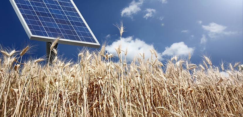 Energy One says cyber incident had no sign of malicious activity