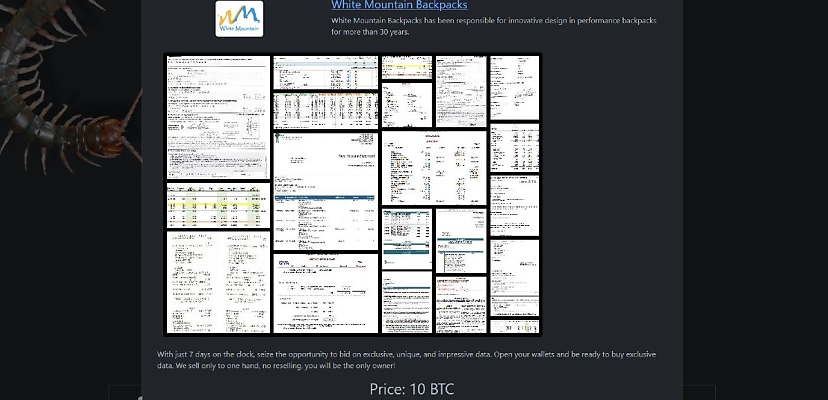 Exclusive: Rhysida lists Aussie outfitter White Mountain Backpacks as ransomware victim