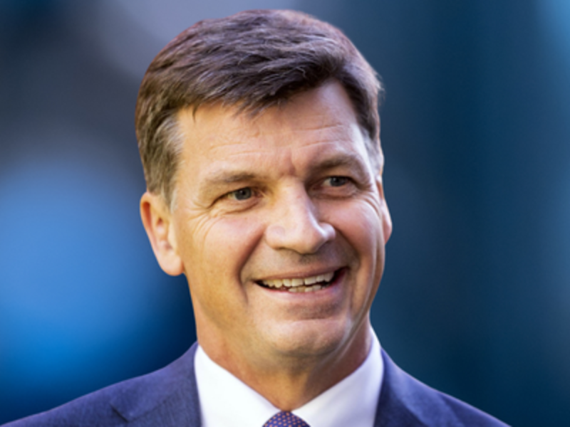 The Honourable<br> Angus Taylor