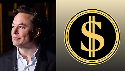 Musk and DOGE’s ‘full access’ to sensitive Treasury systems could be a data breach