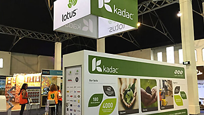 Kadac data leaked on BreachForums in strange post providing analysis