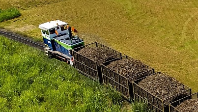 2 Mackay sugar mills shut down following cyber incident