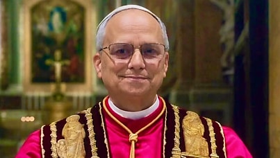 AI damaging for children, says Pope Leo XIV