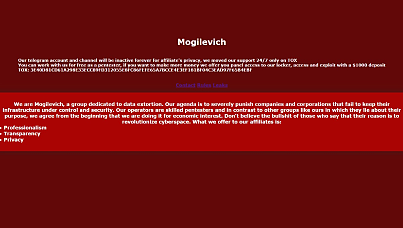 Who is Mogilevich, the newest ransomware gang on the darknet?