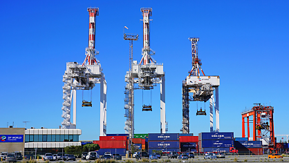 ACSC flags vulnerability used to breach DP World as critical