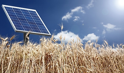 Energy One says cyber incident had no sign of malicious activity