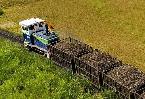 The Operational Challenge: What the Mackay Sugar cyber attack reveals about Australia's cyber readiness