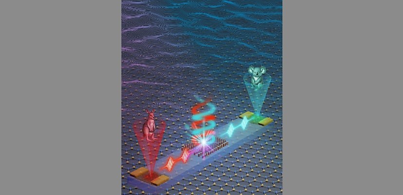 Monash researchers unveil breakthrough photonic chip for next-generation AI and quantum computing