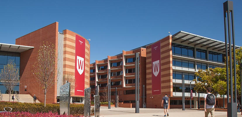 Western Sydney University discloses data breach, 7,500 ‘impacted individuals’ notified