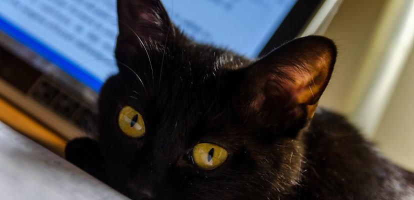 Ransomware gangs Hive, LockBit and BlackCat double-tapping target networks