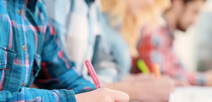 New Zealand schools left vulnerable due to NZ-made software