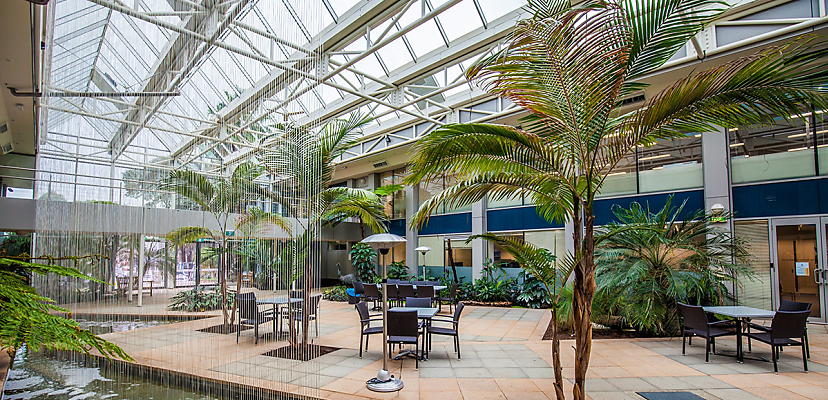 Victorian councils’ call service affected by OracleCMS breach