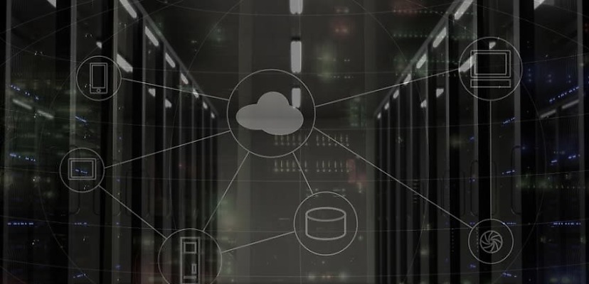 IT shortage threatens Australian businesses, report finds