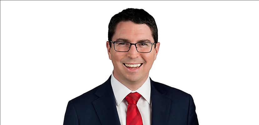 Lawmakers must balance risk of AI against opportunity, MP says