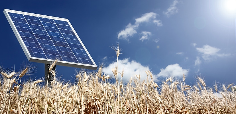 Energy One says cyber incident had no sign of malicious activity