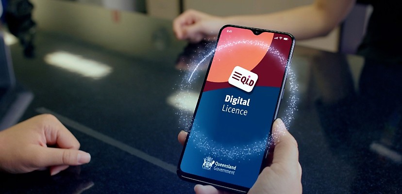 Queensland’s Digital Licence app passes 500,000 user milestone