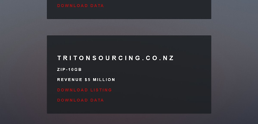 Exclusive: New Zealand importer Triton Sourcing & Distribution confirms ransomware attack