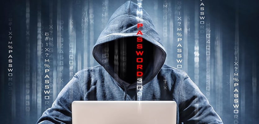 cyber criminal hacker reb t0z1o1