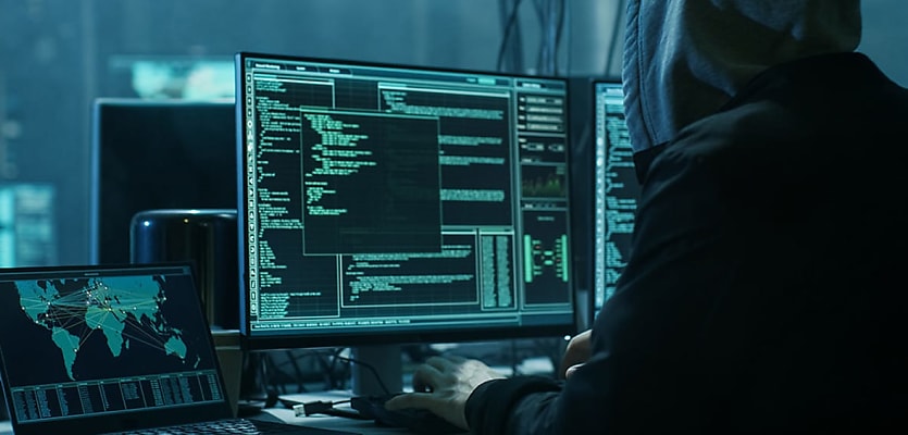 hacker action reb wq1qlq