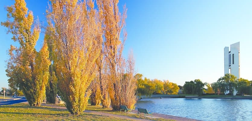 canberra 850x400 april2019 2