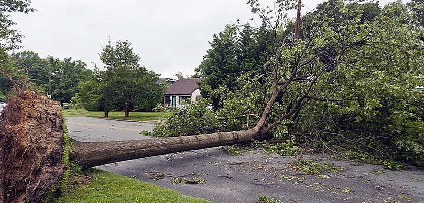 storm damage reb