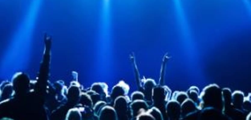 party concert crowd