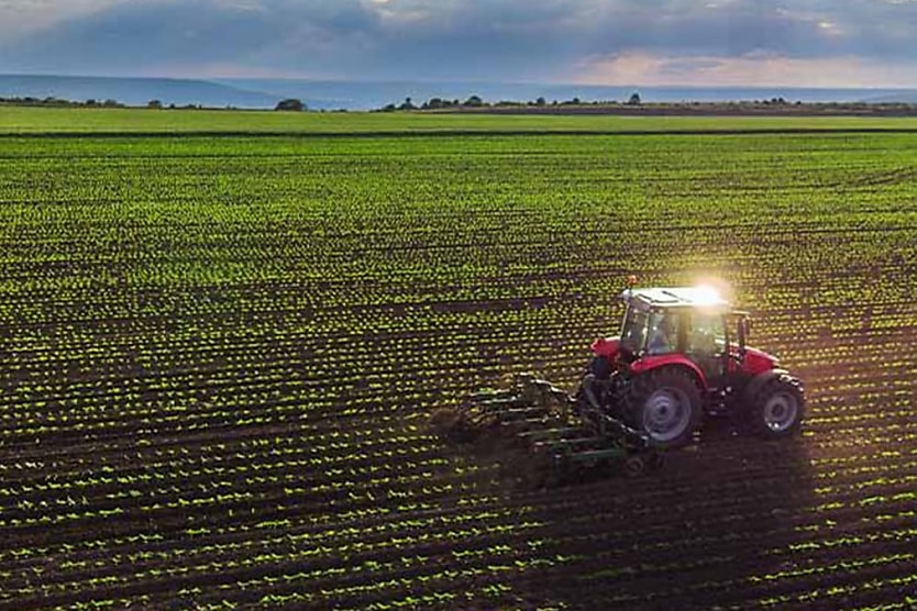 Shadow Economy Taskforce Investigating Allegations Of Farm Worker Exploitation