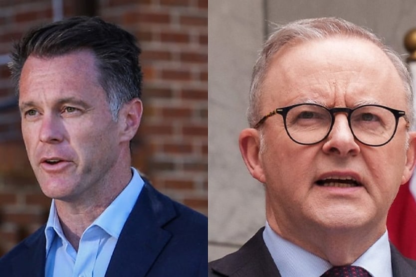 Minns Stands On Back To Office Stance Despite Albanese S Objections