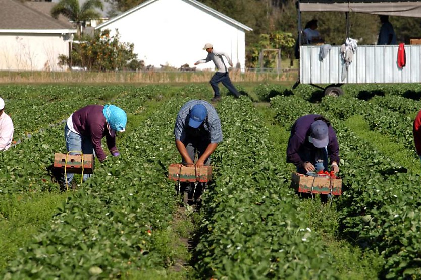 Farm Hit With Legal Action After Underpaying Migrant Workers