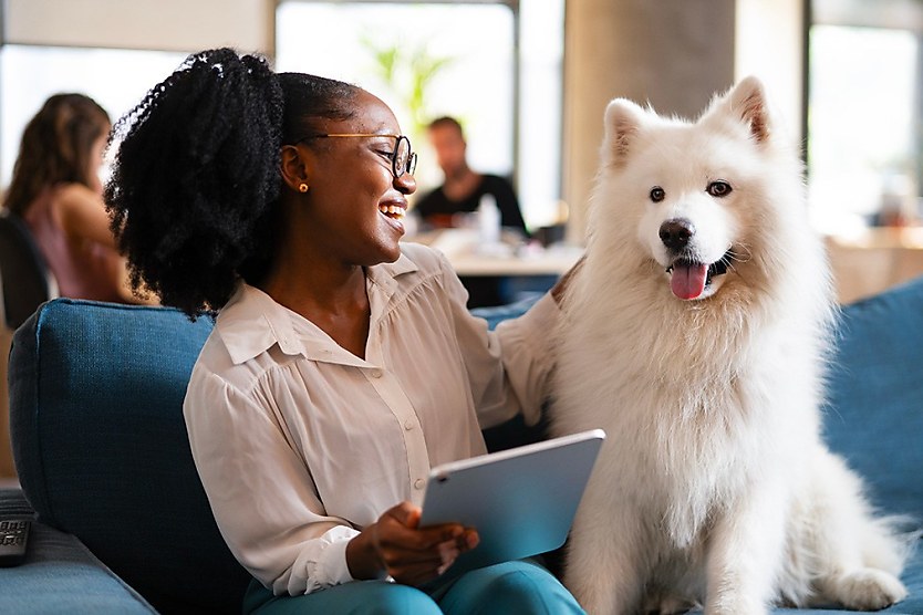 Yoga Mats Dogs At Work Have Wellbeing Policies Gone Overboard