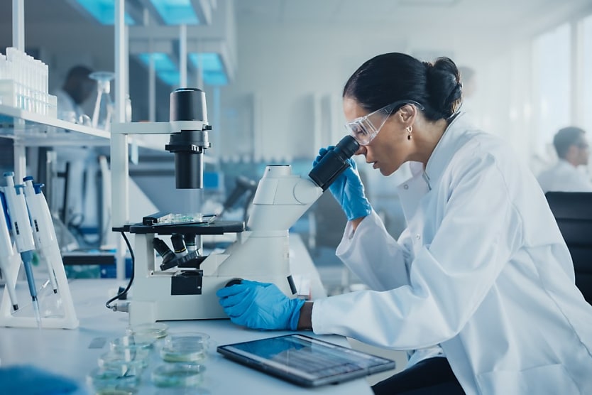 Women In Stem Why Is There Prejudice