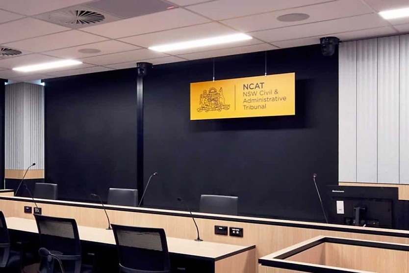 Law Student Caught With Guns Makes Plea For Employment
