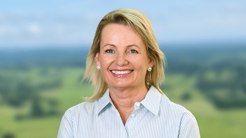 sussan ley smsfa izluv1