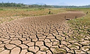 Climate change to drive supply chain disruption, expert warns