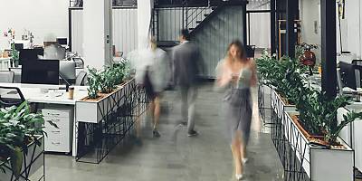 TMT lawyer feature image lw