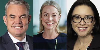 david newman alissa anderson catherine roberts lw icmzuo