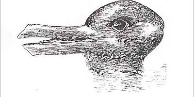 duck rabbit lw fiqyii